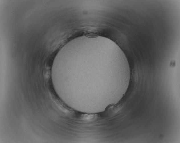 X0000114730135200911121803