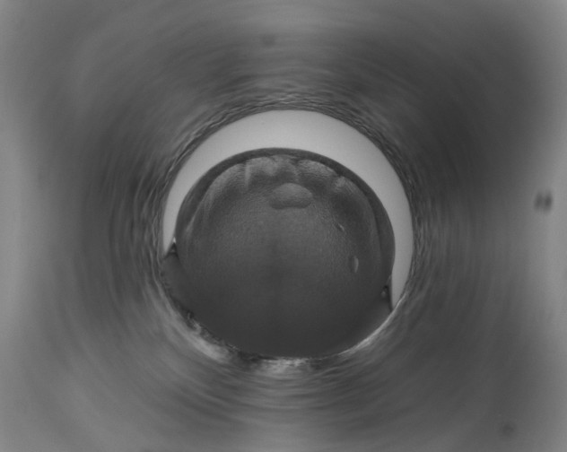 X0000114730136200911121803