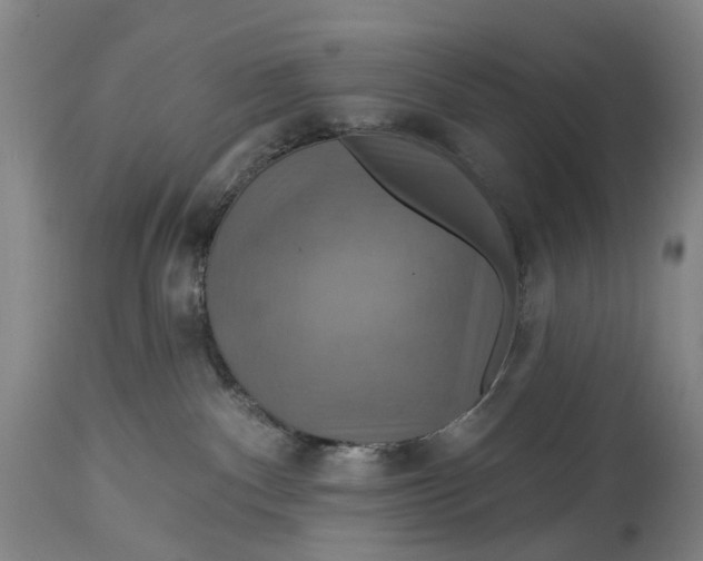 X0000114730140200911121803