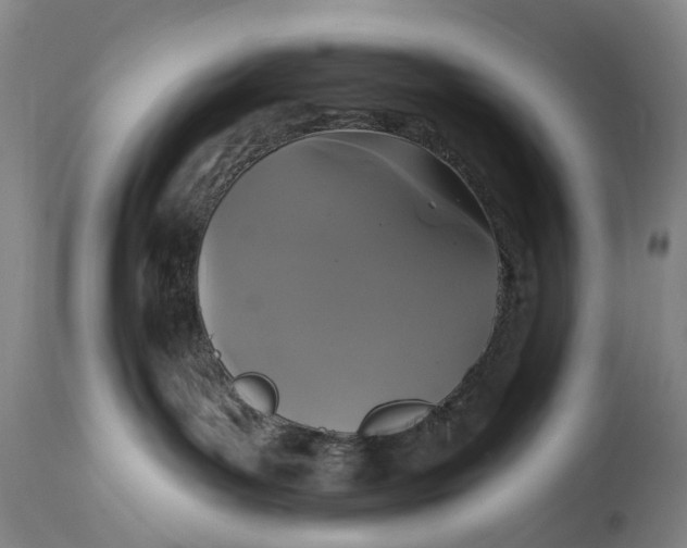 X0000114730143200911121803