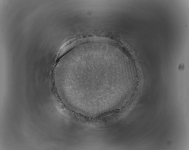 X0000114730144200911121803