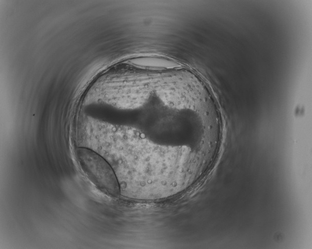 X0000114730145200911121802