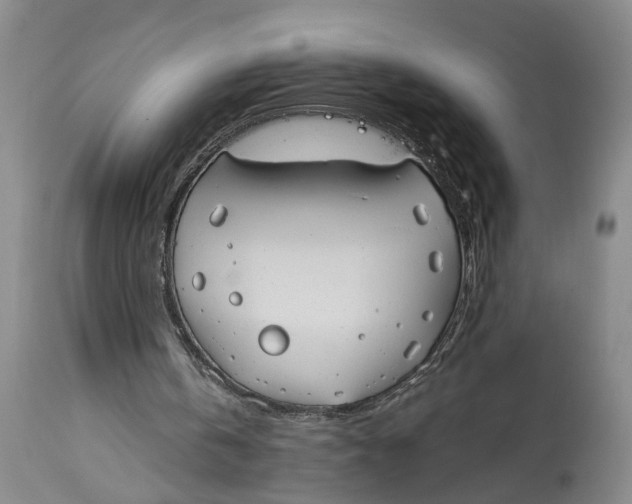 X0000114730146200911121802