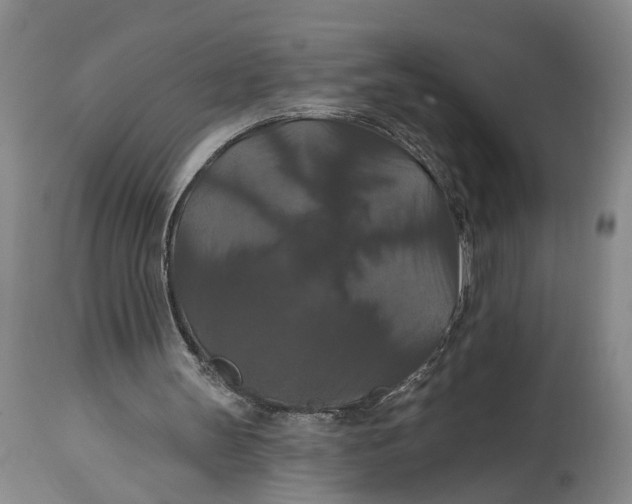 X0000114730147200911121802