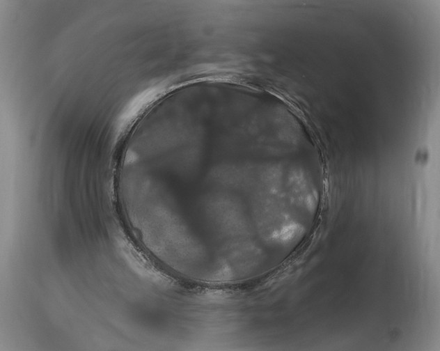 X0000114730149200911121802