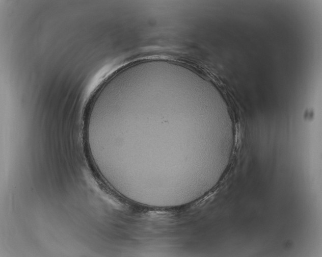 X0000114730150200911121802