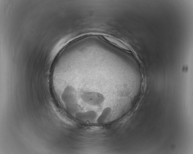 X0000114730151200911121802