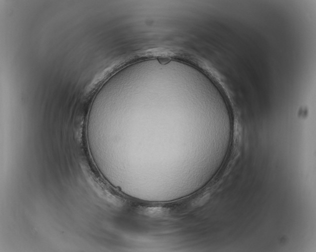 X0000114730153200911121802