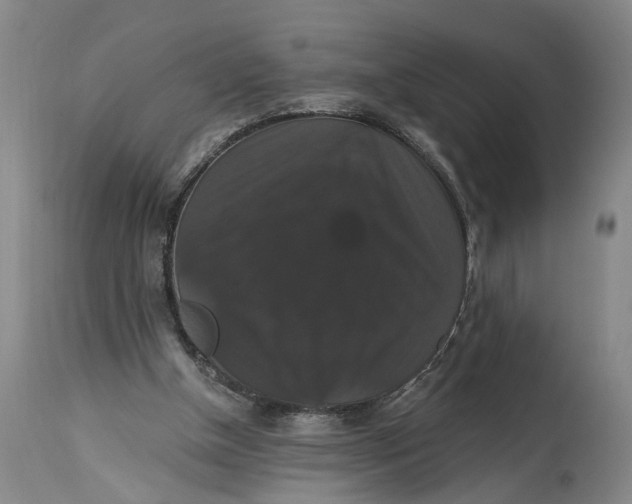 X0000114730154200911121802