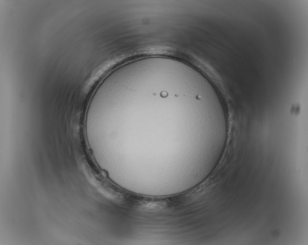 X0000114730155200911121802