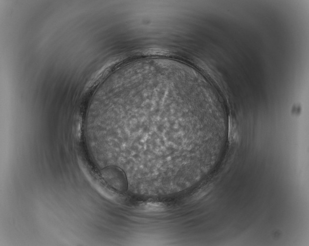 X0000114730157200911121803