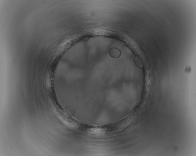 X0000114730161200911121803