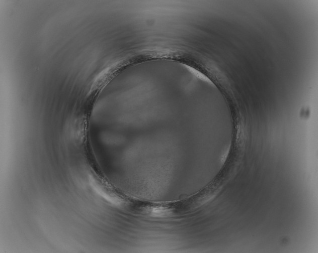 X0000114730165200911121803