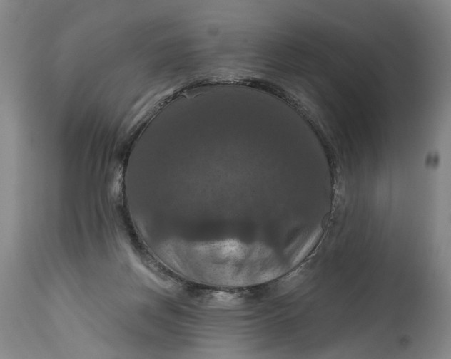 X0000114730166200911121803