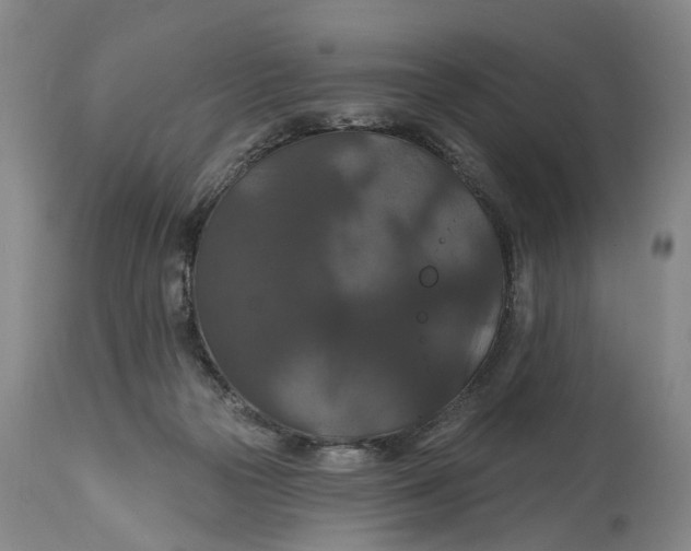 X0000114730169200911121803