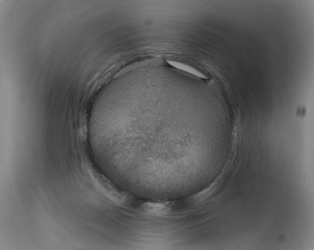 X0000114730170200911121803