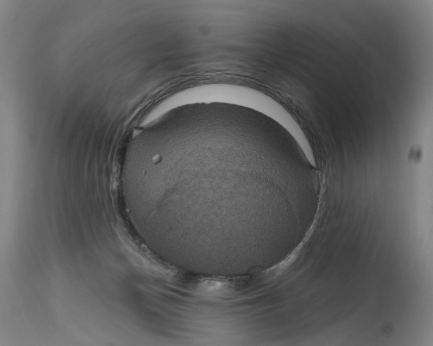 X0000114730174200911121803