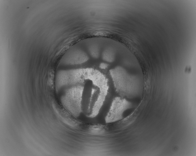 X0000114730175200911121803