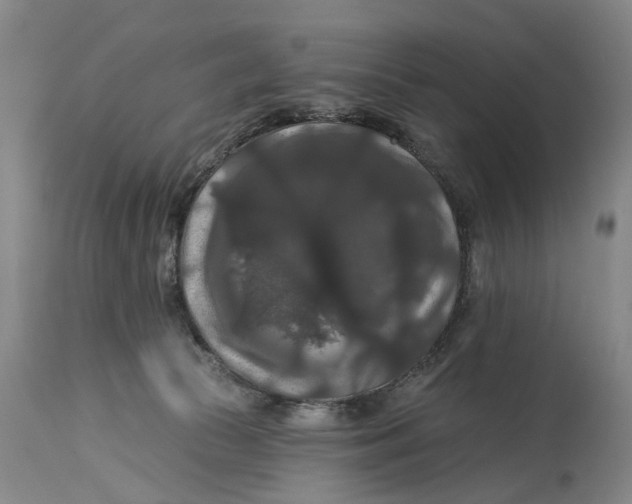 X0000114730177200911121803