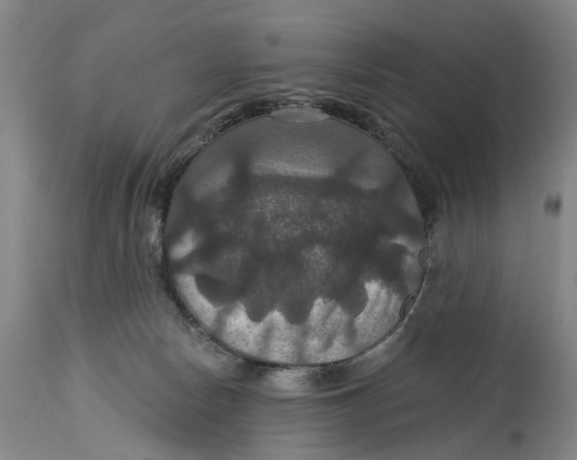 X0000114730178200911121803