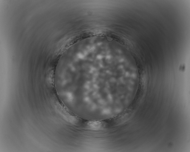 X0000114730181200911121803