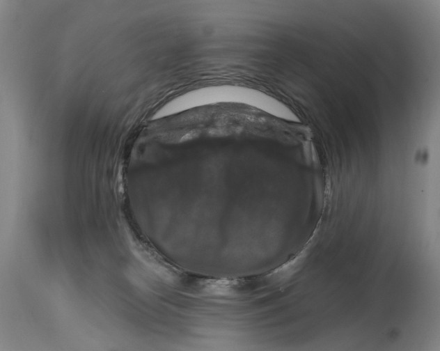 X0000114730182200911121803