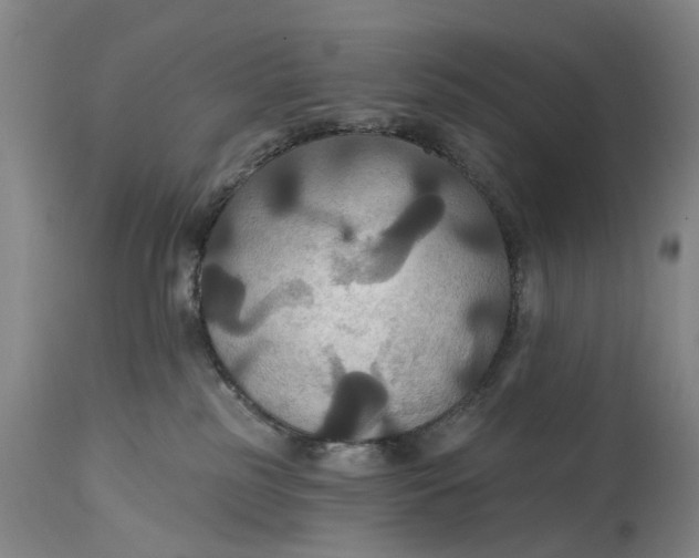 X0000114730185200911121803