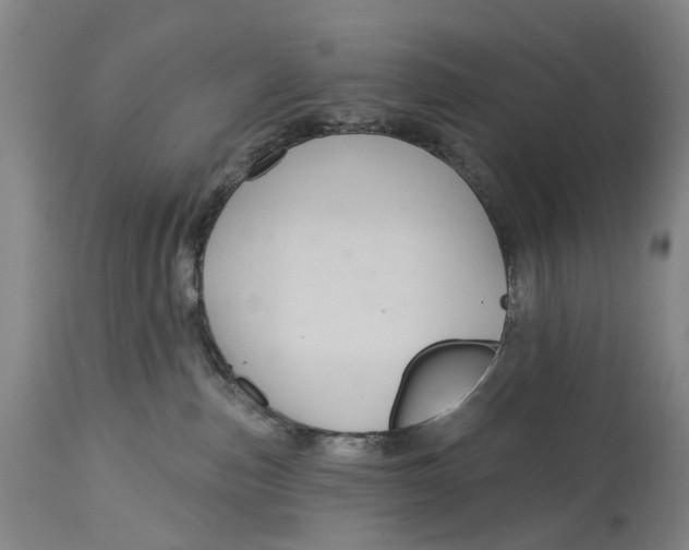 X0000114730187200911121803