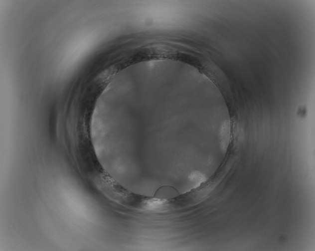 X0000114730189200911121803