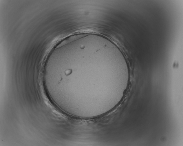 X0000114730193200911121802