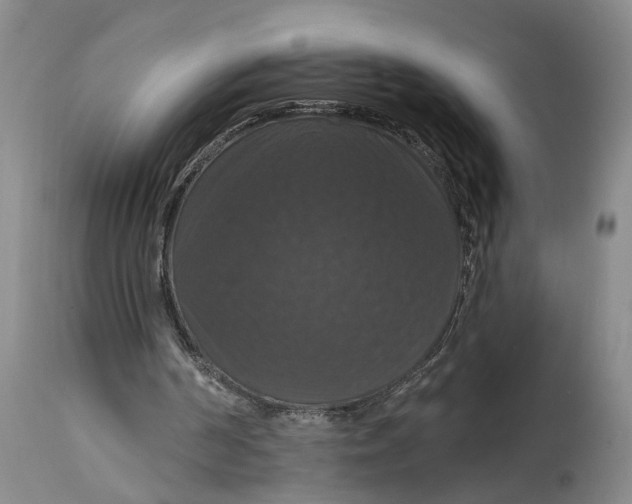 X0000114730194200911121802