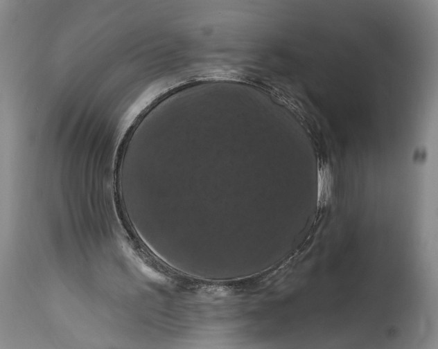 X0000114730195200911121802