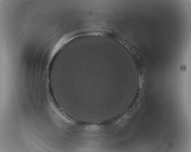 X0000114730198200911121802