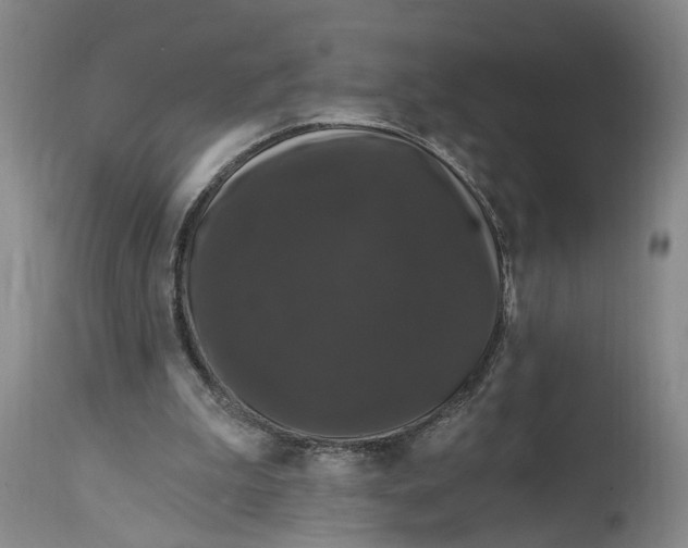 X0000114730199200911121802