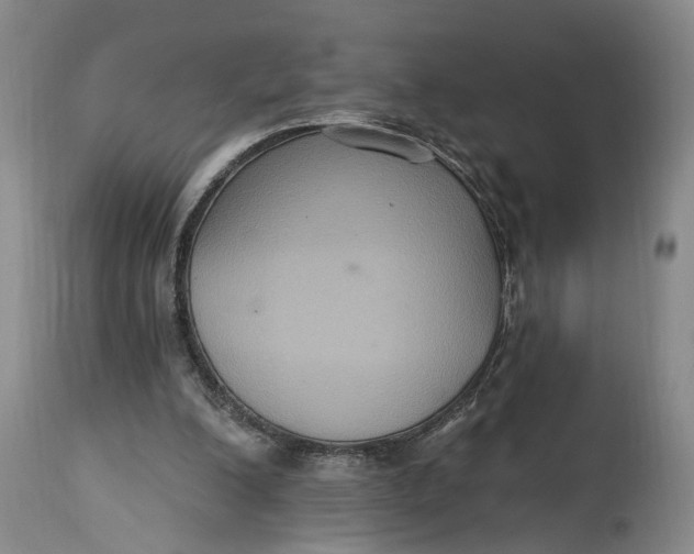 X0000114730200200911121802