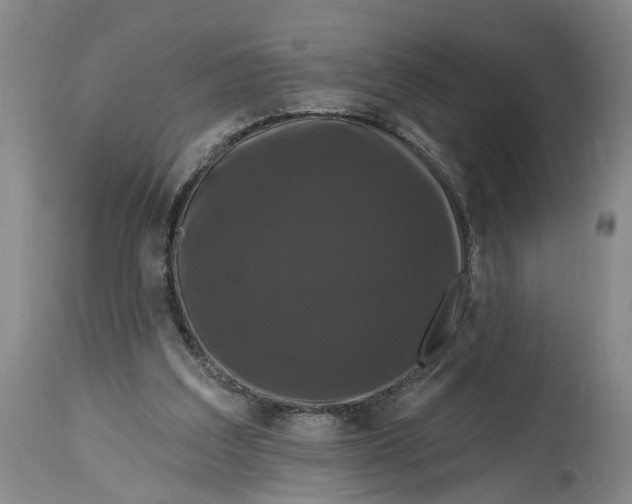 X0000114730203200911121802