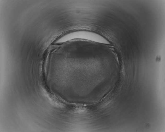 X0000114730206200911121802