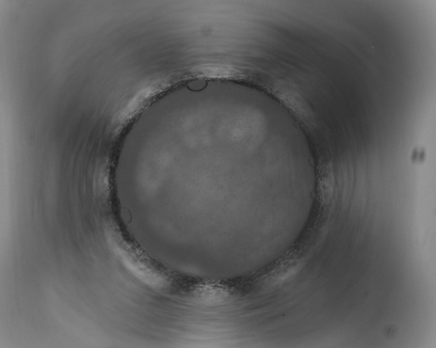 X0000114730207200911121802