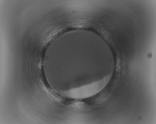 X0000114730210200911121802