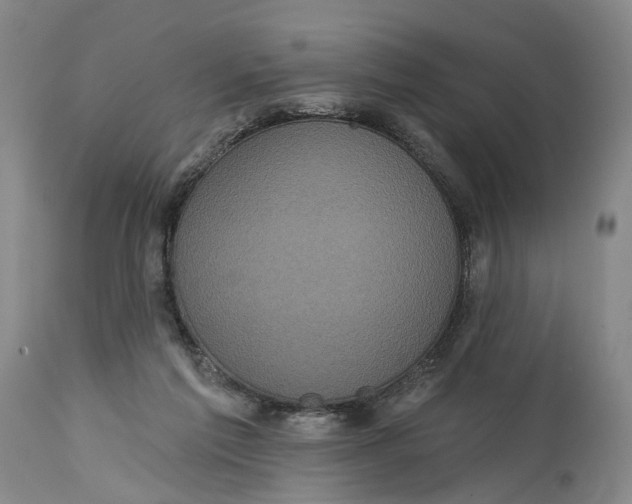 X0000114730213200911121802