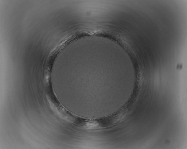 X0000114730214200911121802