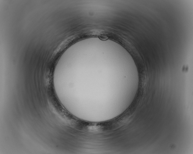 X0000114730216200911121802