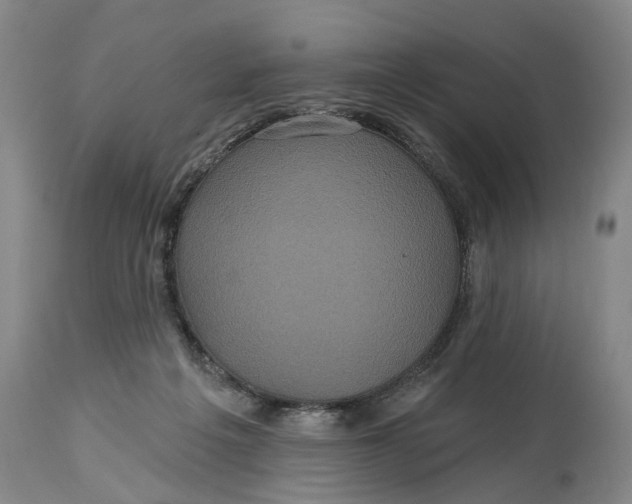 X0000114730217200911121802