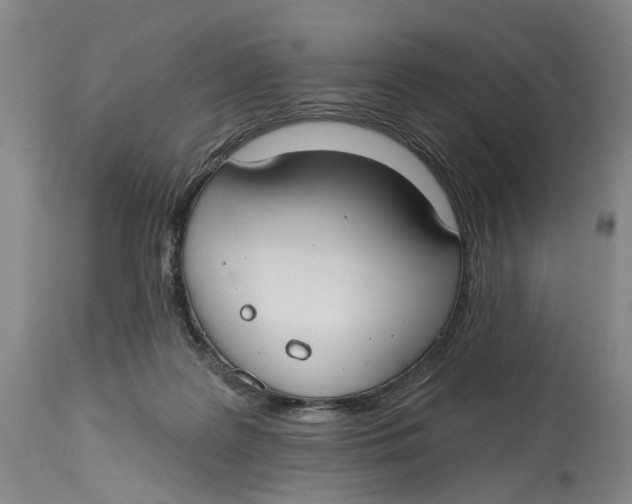 X0000114730219200911121802