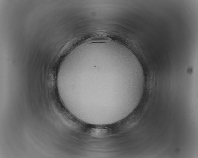 X0000114730220200911121802