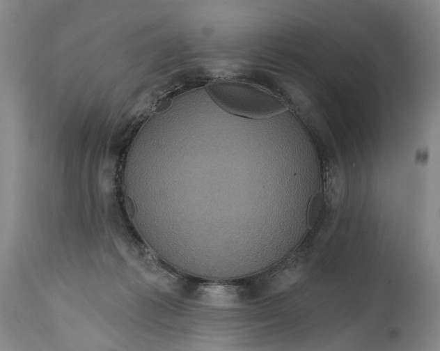 X0000114730221200911121802