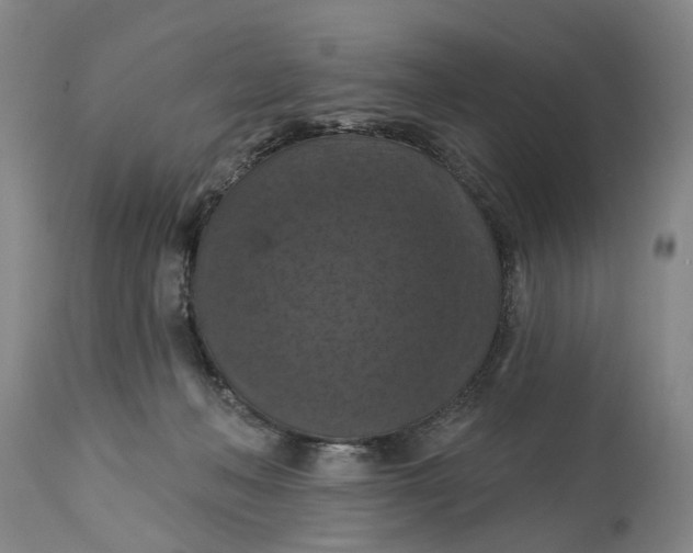 X0000114730222200911121802