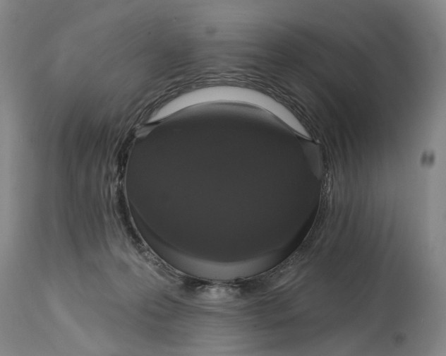 X0000114730223200911121802