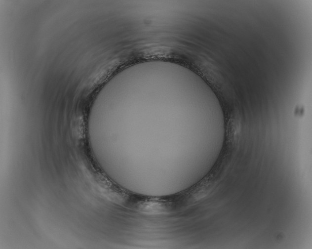 X0000114730224200911121802