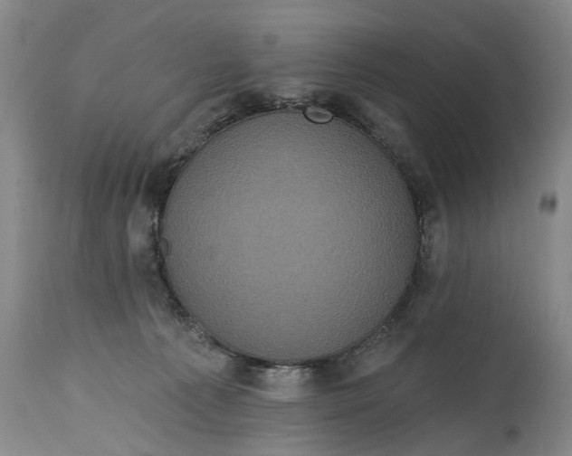 X0000114730225200911121802